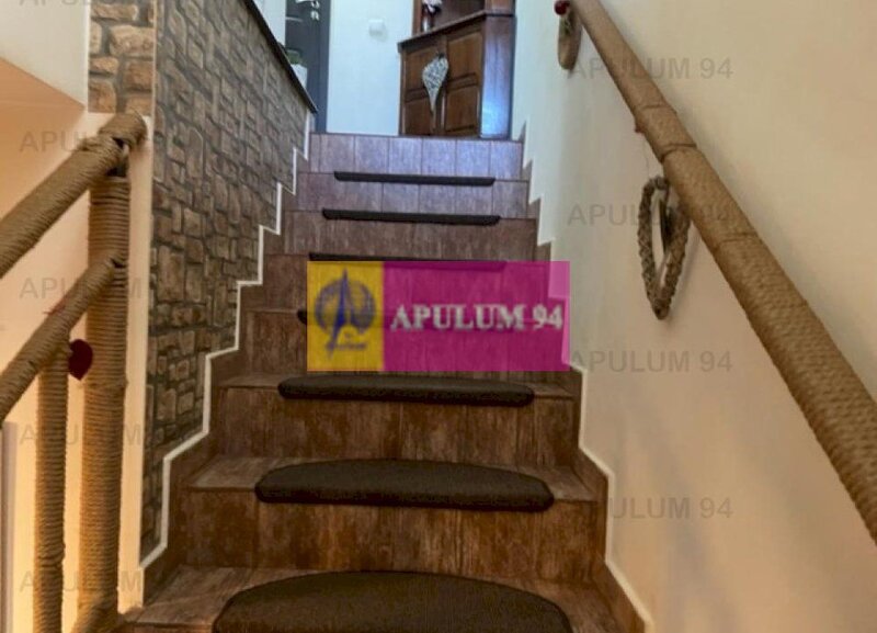 Duplex Domnesti- Putul Olteni.